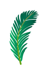 Canvas Print - vector illustration of palm tree leaf.