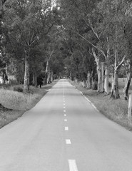 landscape of country road. Countryside road