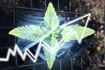 Cannabis Stocks Soaring High Quality 