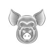 Engraving of stylized pig portrait on white background. Line art. Stencil art
