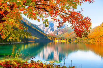 Wall Mural - Yellow autumn trees on the shore of lake in Alps, Austria. Vorderer Langbathsee lake. Beautiful autumn landscape