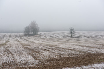 misty fields and meadows with snow in winter