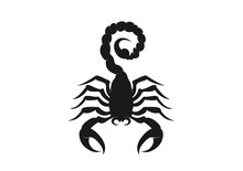 Scorpion Icon. Isolated Vector Silhouette Image Of Wild Animal