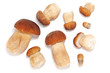 Boletus edulis mushrooms on white