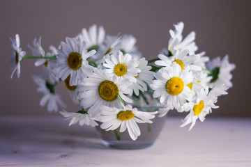 Wall Mural - daisies in glass vase on wooden table