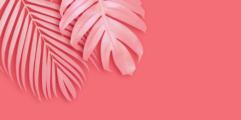 Tropical leaves banner background with copy space Minimal summer