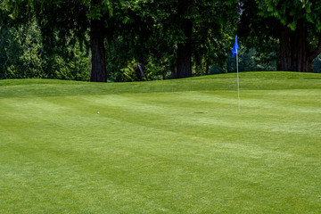 Wall Mural - Sunny day on the golf course, golf ball on green and pin with blue flag surrounded by trees