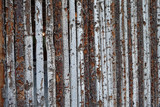 Fototapeta Las - texture of wood forming a wall 