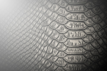  Black snake skin pattern texture