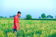 © PRASANNAPIX - Young indian farmer at field