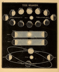 Wall Mural - astronomical illustration. old image