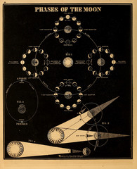 Wall Mural - astronomical illustration. old image
