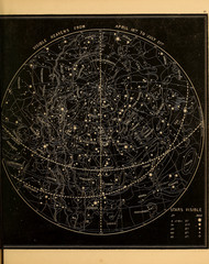 Wall Mural - astronomical illustration. old image