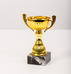 Gold trophy with marble base on light grey background.