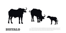 Black Silhouette Of African Buffalo On White Background. Isolated Scene With Bull Family. Landscape With Wild Animals Of Africa. Savannah Nature