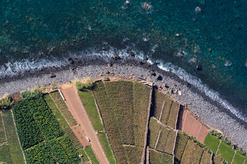 Wall Mural - Top view on cultivated fields and coast from Cabo Girao cliff in Madeira island