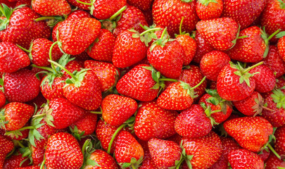 Wall Mural - Fresh organic Strawberry fruit background Top view closeup