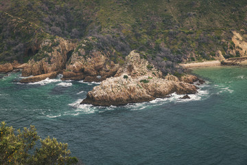 Wall Mural - Rocky coast in South Africa