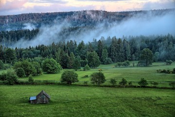 nach dem regen 2