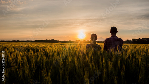 Two farmers, a man and a woman, are looking forward to the sunset over a field of wheat Poster Mural XXL