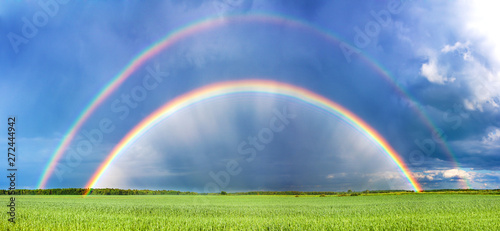 spring landscape panorama with a field and a rainbow above it