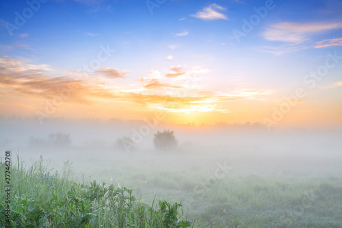 summer landscape with sunrise and fog