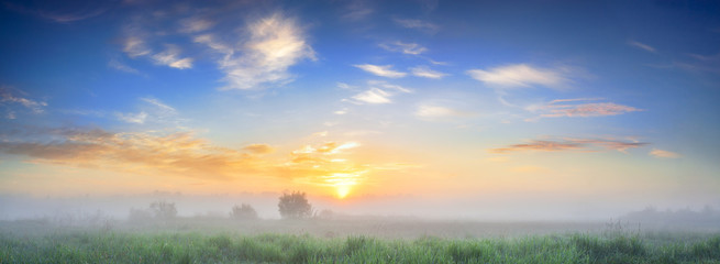 Poster - summer landscape panorama with sunrise and fog