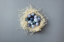 Blue Eggs In Nest