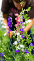 Hands working arranging colorful flowers in jars on a farmstead for a farm to table dinner