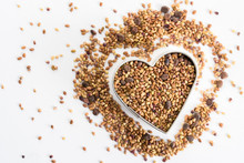 Sprouting Seeds In A Heart Shape