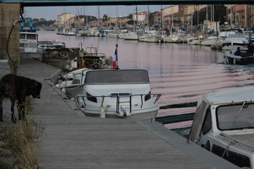 Wall Mural - bateau au port