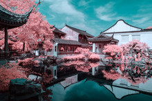 Suzhou Gardens, Infrared Photography