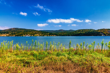 Lake Bor, near the city of Bor in eastern Serbia. Bor is famous for its copper and gold mine