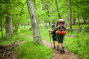 Two hikers  with large backpacks and walking sticks hiking though the forest in Shenandoah National Park. 