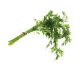 Fototapeta  - Bunch of fresh green parsley on white background