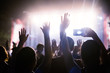 © NDABCREATIVITY - Picture of dancing crowd at music festival