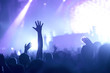 © NDABCREATIVITY - Picture of dancing crowd at music festival