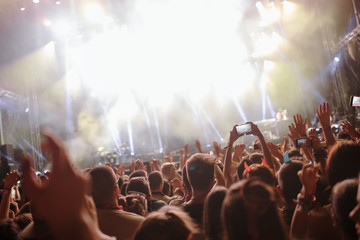 Wall Mural - Portrait of happy crowd enjoying at music festival