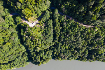 Wall Mural - Aerial photography. Green trees in the forest. View down. No people. Screensaver for your desktop. Wildlife. Nature.