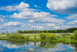 Fototapeta Sawanna - Green field. Wildlife. Meadow and river. Cloudy sky. Rural landscape.