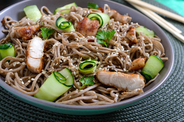 Wall Mural - Cold soba with chicken, fresh cucumbers, sauce and sesame. Classic cold salad with buckwheat noodles. Japanese food. Traditional asian cuisine