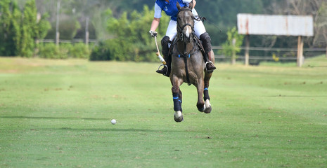 Wall Mural - Polo Horse Player Riding To Control The Ball.