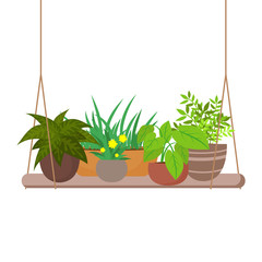 Sticker - Indoor home plants on the hanging shelf vector illustration. Home pot flower for interior, indoor houseplant