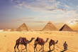 Camel caravan near the Great Pyramids of Giza in Egypt