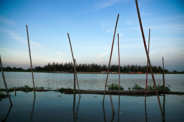 Chao Phraya River vs bamboo