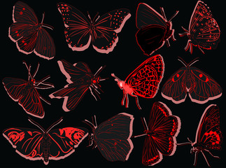 Sticker - twelve red butterflies outlines on black