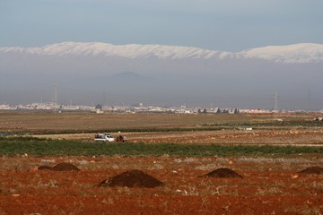 Wall Mural - Syrie