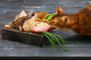 Special pet food VS natural pet food. Ingredients turkey, groats, rise, greens and sprouts in brown wooden box on rough dyed wooden background. Flat lay.