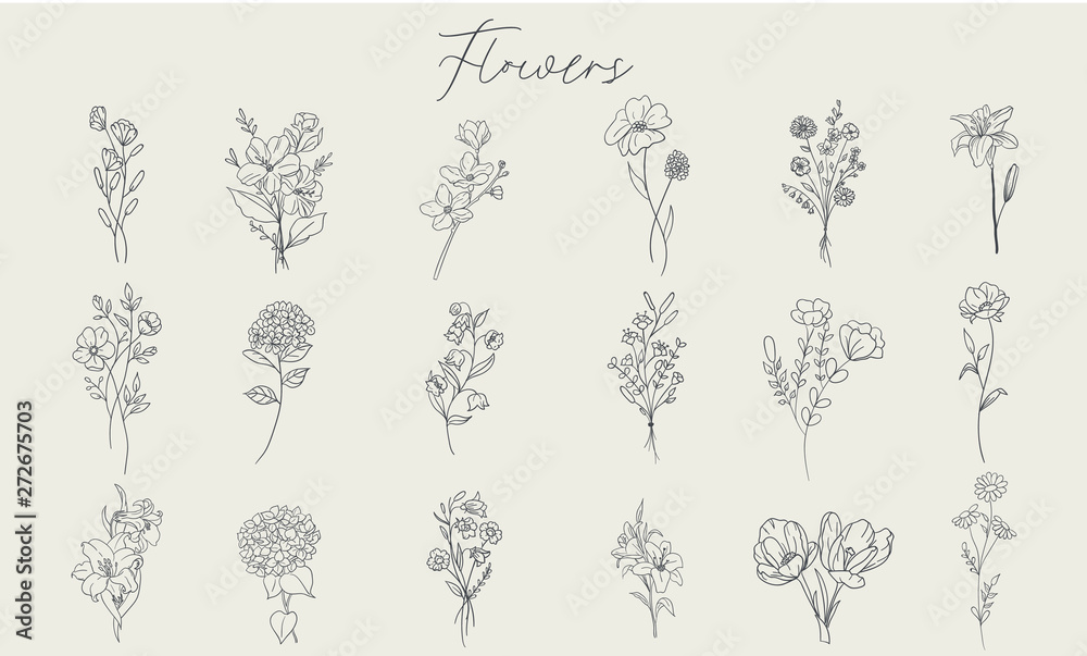 Set of handdrawn floral elements for design Stock Vector | Adobe Stock