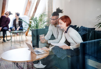 Wall Mural - Group of young businesspeople using laptop in office, start-up concept.